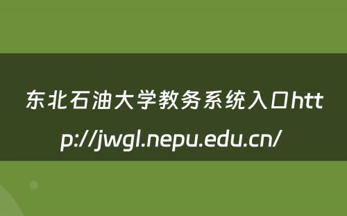 东北石油大学教务系统入口http://jwgl.nepu.edu.cn/ 