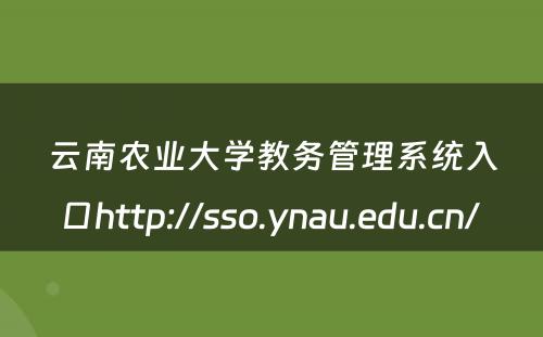 云南农业大学教务管理系统入口http://sso.ynau.edu.cn/ 