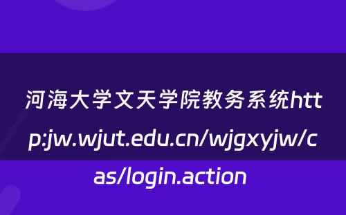 河海大学文天学院教务系统http:jw.wjut.edu.cn/wjgxyjw/cas/login.action 