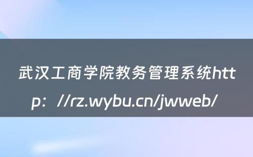 武汉工商学院教务管理系统http：//rz.wybu.cn/jwweb/ 
