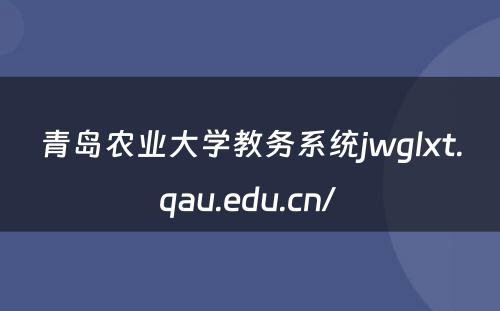 青岛农业大学教务系统jwglxt.qau.edu.cn/ 