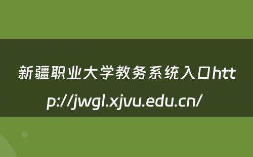 新疆职业大学教务系统入口http://jwgl.xjvu.edu.cn/ 