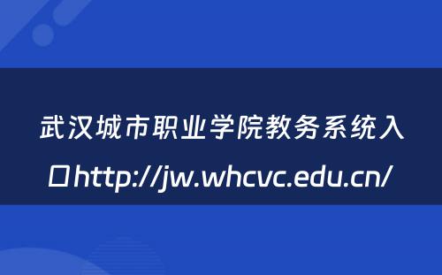 武汉城市职业学院教务系统入口http://jw.whcvc.edu.cn/ 