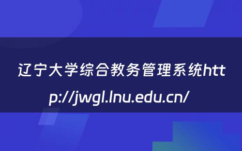 辽宁大学综合教务管理系统http://jwgl.lnu.edu.cn/ 