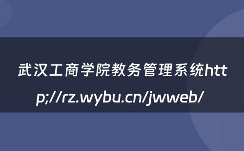 武汉工商学院教务管理系统http;//rz.wybu.cn/jwweb/ 