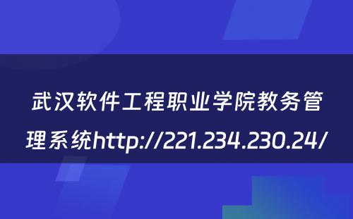 武汉软件工程职业学院教务管理系统http://221.234.230.24/ 