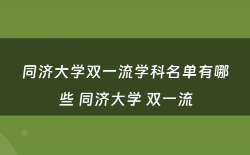 同济大学双一流学科名单有哪些 同济大学 双一流