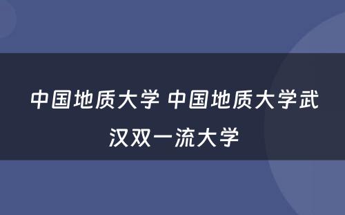 中国地质大学 中国地质大学武汉双一流大学