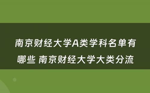 南京财经大学A类学科名单有哪些 南京财经大学大类分流