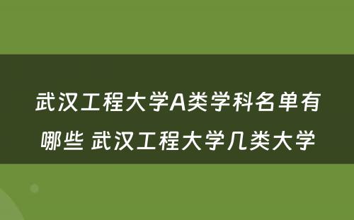 武汉工程大学A类学科名单有哪些 武汉工程大学几类大学