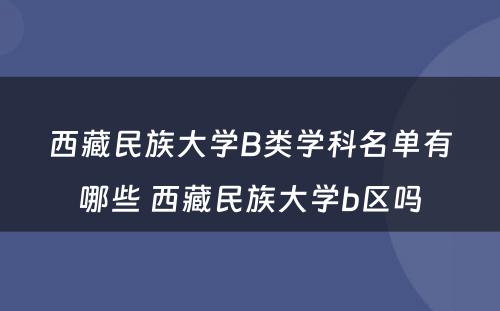 西藏民族大学B类学科名单有哪些 西藏民族大学b区吗