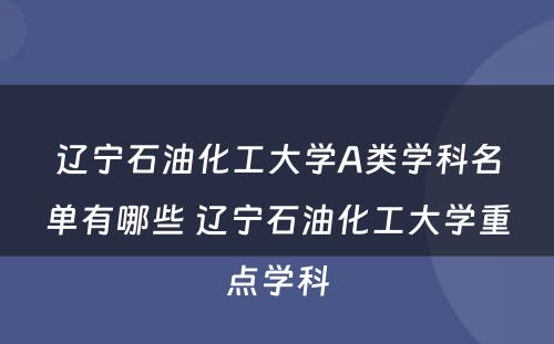 辽宁石油化工大学A类学科名单有哪些 辽宁石油化工大学重点学科