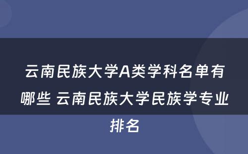 云南民族大学A类学科名单有哪些 云南民族大学民族学专业排名