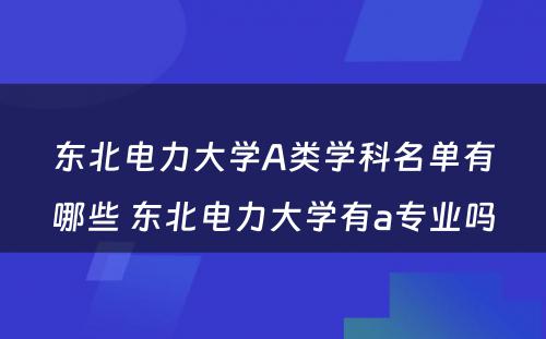 东北电力大学A类学科名单有哪些 东北电力大学有a专业吗