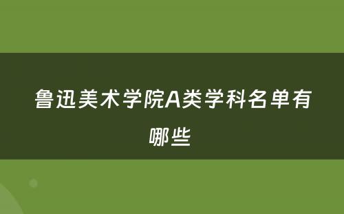 鲁迅美术学院A类学科名单有哪些 