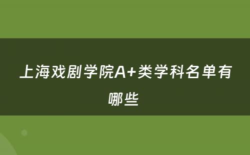 上海戏剧学院A+类学科名单有哪些 