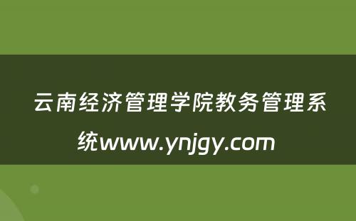 云南经济管理学院教务管理系统www.ynjgy.com 