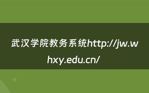 武汉学院教务系统http://jw.whxy.edu.cn/ 