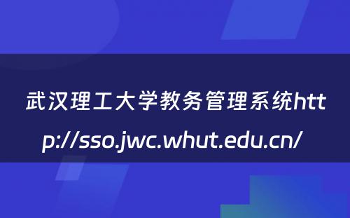 武汉理工大学教务管理系统http://sso.jwc.whut.edu.cn/ 