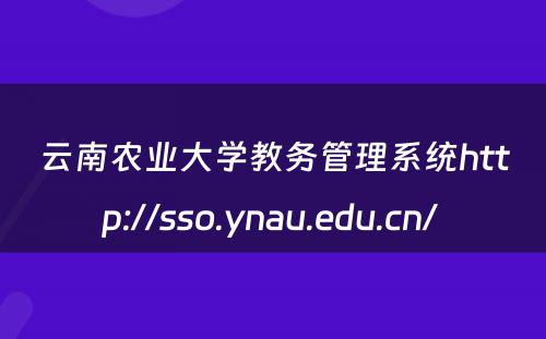 云南农业大学教务管理系统http://sso.ynau.edu.cn/ 