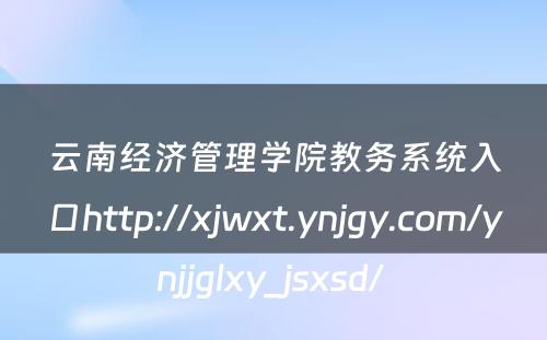 云南经济管理学院教务系统入口http://xjwxt.ynjgy.com/ynjjglxy_jsxsd/ 