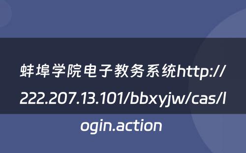 蚌埠学院电子教务系统http://222.207.13.101/bbxyjw/cas/login.action 