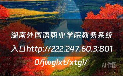 湖南外国语职业学院教务系统入口http://222.247.60.3:8010/jwglxt/xtgl/ 