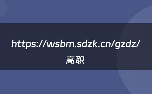 https://wsbm.sdzk.cn/gzdz/高职 