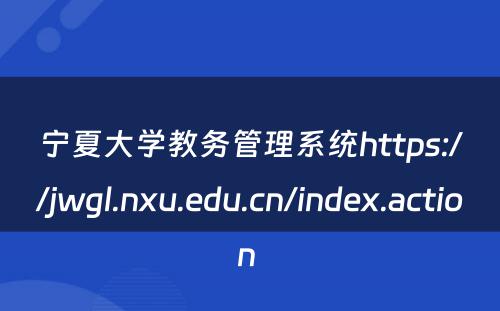 宁夏大学教务管理系统https://jwgl.nxu.edu.cn/index.action 