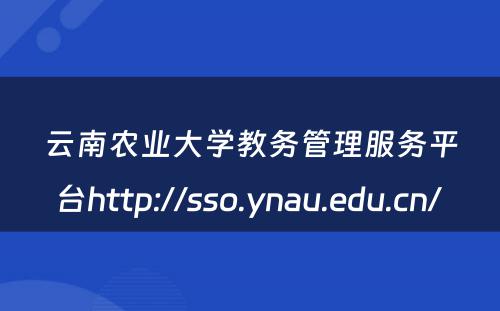 云南农业大学教务管理服务平台http://sso.ynau.edu.cn/ 