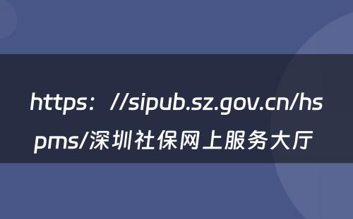 https：//sipub.sz.gov.cn/hspms/深圳社保网上服务大厅 