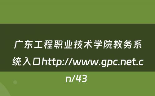 广东工程职业技术学院教务系统入口http://www.gpc.net.cn/43 