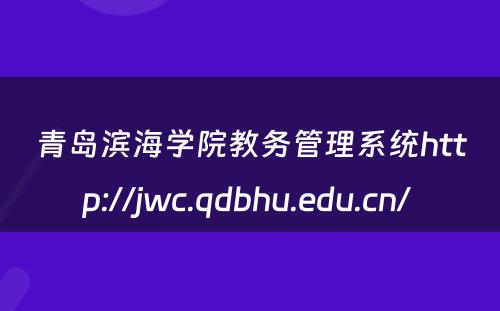青岛滨海学院教务管理系统http://jwc.qdbhu.edu.cn/ 