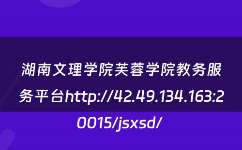 湖南文理学院芙蓉学院教务服务平台http://42.49.134.163:20015/jsxsd/ 