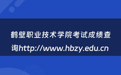 鹤壁职业技术学院考试成绩查询http://www.hbzy.edu.cn 