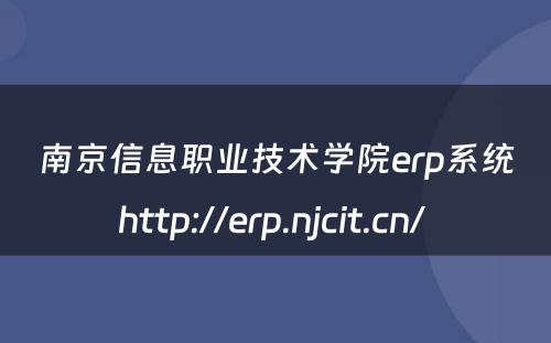 南京信息职业技术学院erp系统http://erp.njcit.cn/ 