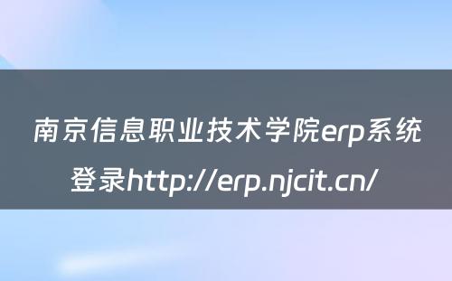 南京信息职业技术学院erp系统登录http://erp.njcit.cn/ 