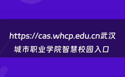 https://cas.whcp.edu.cn武汉城市职业学院智慧校园入口 