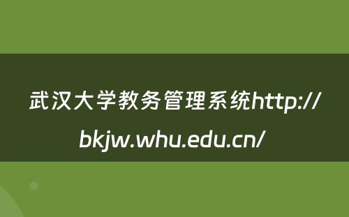 武汉大学教务管理系统http://bkjw.whu.edu.cn/ 