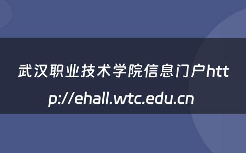 武汉职业技术学院信息门户http://ehall.wtc.edu.cn 