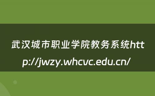 武汉城市职业学院教务系统http://jwzy.whcvc.edu.cn/ 