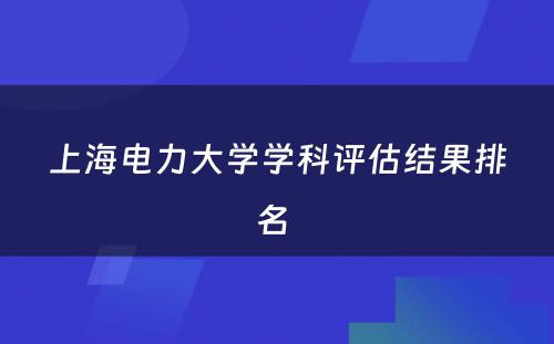 上海电力大学学科评估结果排名 