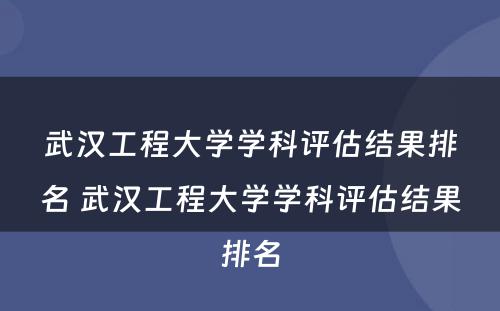 武汉工程大学学科评估结果排名 武汉工程大学学科评估结果排名