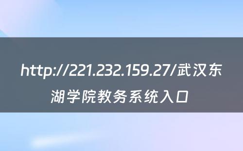 http://221.232.159.27/武汉东湖学院教务系统入口 