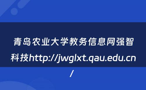 青岛农业大学教务信息网强智科技http://jwglxt.qau.edu.cn/ 