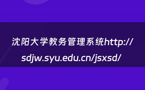 沈阳大学教务管理系统http://sdjw.syu.edu.cn/jsxsd/ 