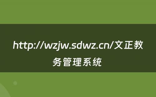 http://wzjw.sdwz.cn/文正教务管理系统 