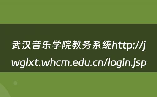 武汉音乐学院教务系统http://jwglxt.whcm.edu.cn/login.jsp 