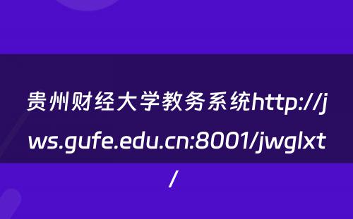 贵州财经大学教务系统http://jws.gufe.edu.cn:8001/jwglxt/ 