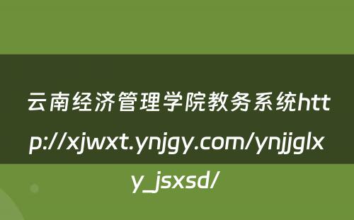 云南经济管理学院教务系统http://xjwxt.ynjgy.com/ynjjglxy_jsxsd/ 